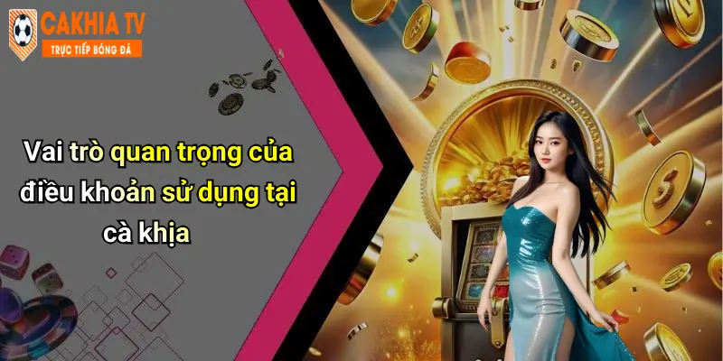 Vai trò quan trọng của điều khoản sử dụng tại cà khịa